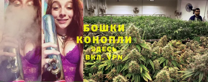 Бошки Шишки THC 21%  кракен как зайти  Калтан 